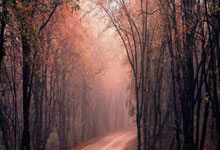 开云APP-姆巴佩终场绝杀引爆全场！VAR争议判罚风暴席卷欧洲杯