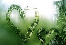 开云体育登录-阿尔艾因保持连胜势头，世俱杯冠军呼之欲出