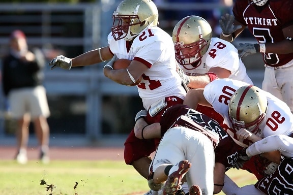 包含体育橄榄球赛场遭遇劲敌,荷兰选手遭遇困难的词条 包含体育橄榄球赛场遭遇劲敌,荷兰选手遭遇困难的词条