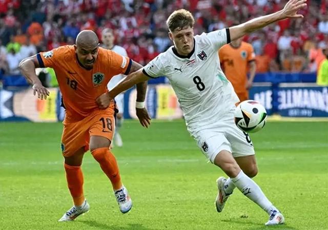 荷兰队惨遭挫败，止步欧洲杯强赛