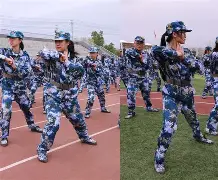 关于雄灰狼队实力擒敌，锐不可当的信息